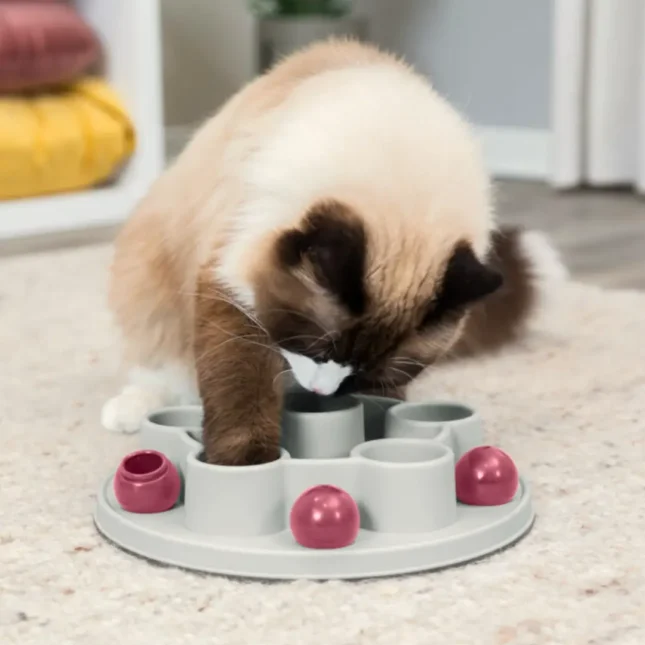 Voerpuzzel Pentagon met kat 3 Voerpuzzel Pentagon met kat 3