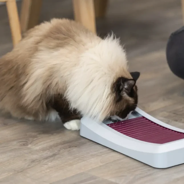 Voerpuzzel Rod Board met kat Voerpuzzel Rod Board met kat