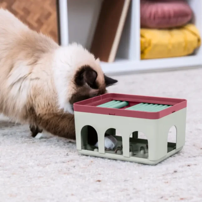 Voerpuzzel Rod Box met kat 2 Voerpuzzel Rod Box met kat 2