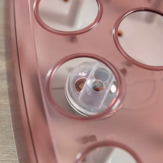 Voerpuzzel Soccer 6 Voerpuzzel Soccer 6