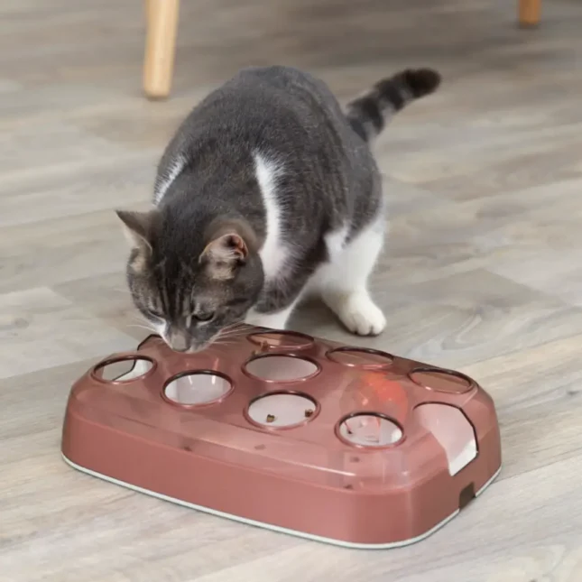 Voerpuzzel Soccer met kat 1 Voerpuzzel Soccer met kat 1