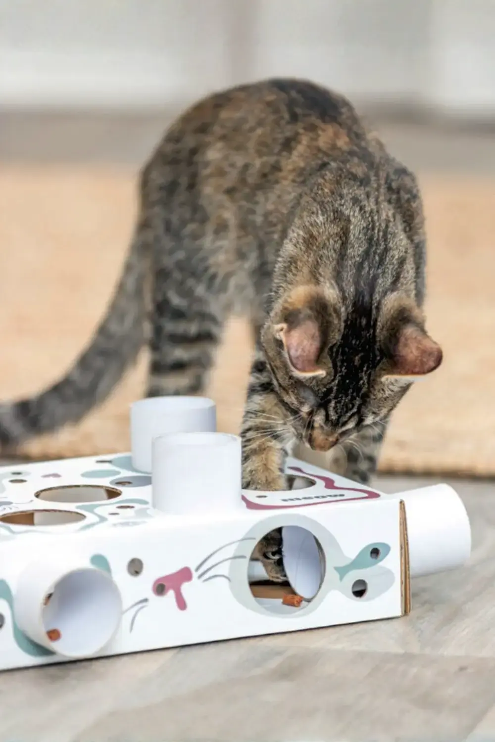 Winterinspiratie voedselverrijking tegen verveling