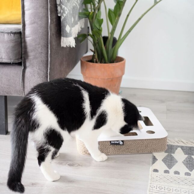 Witte-Krabspel-Spy-2 Witte-Krabspel-Spy-2