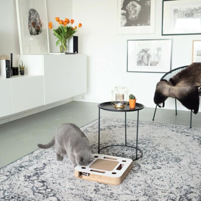 Witte-Krabspel-Spy-3 Witte-Krabspel-Spy-3