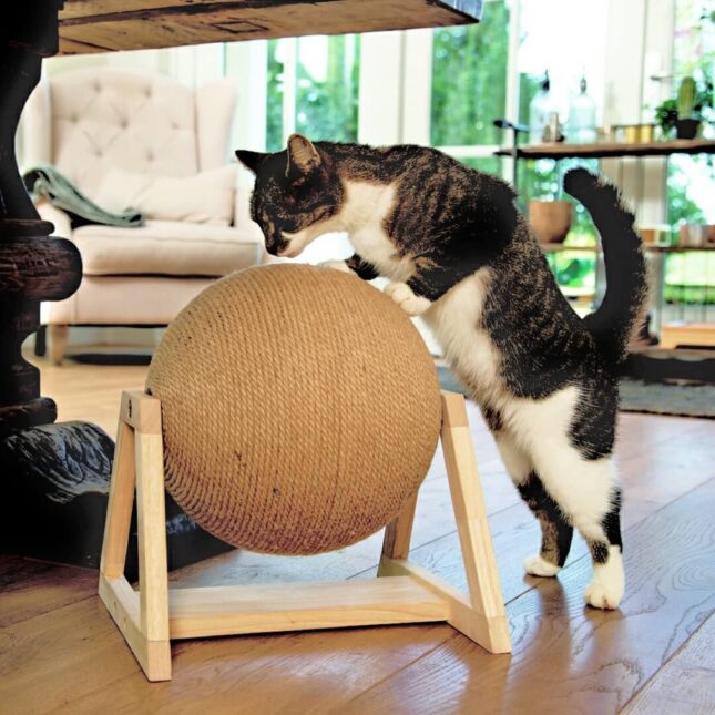 Wood-Balty-krabbol-op-standaard.2 Wood-Balty-krabbol-op-standaard.2