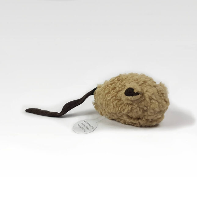 Wooly-PIEP-muis-1 Wooly-PIEP-muis-1