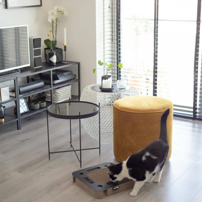 Zwarte-Krabspel-Spy-2 Zwarte-Krabspel-Spy-2