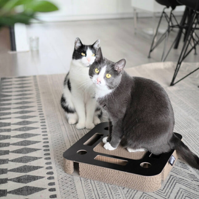 Zwarte-Krabspel-Spy-3 Zwarte-Krabspel-Spy-3