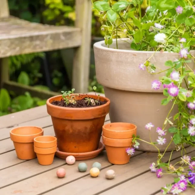 bloem bolletjes cadeaubox 1 bloem bolletjes cadeaubox 1