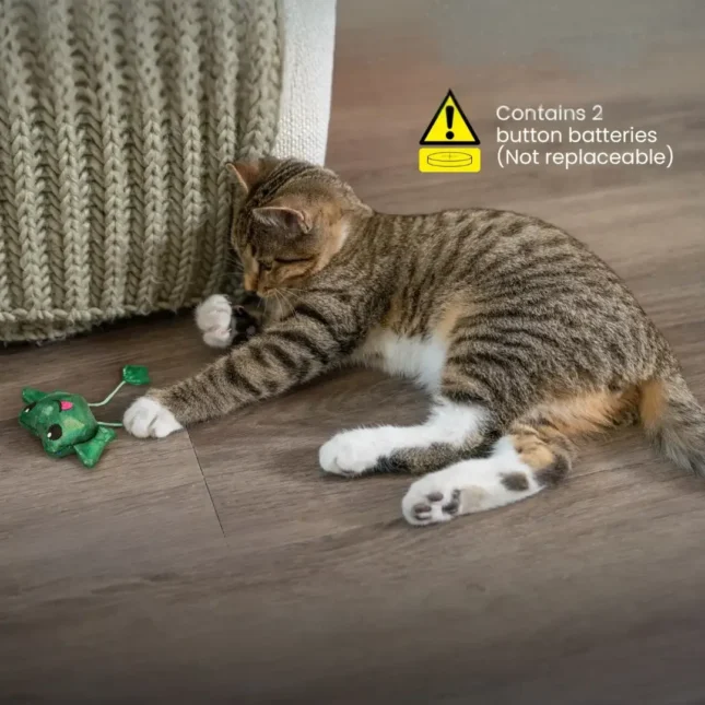 catstages toss n dangle frog 2 catstages toss n dangle frog 2