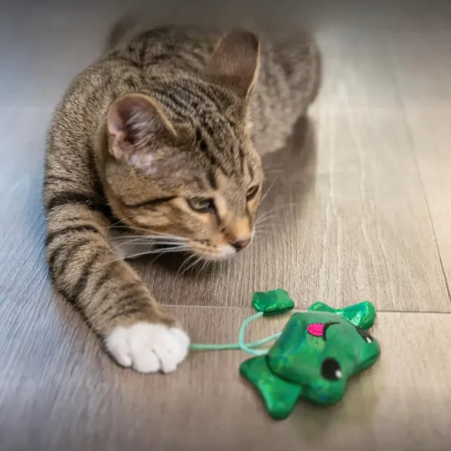 catstages toss n dangle frog 3 catstages toss n dangle frog 3