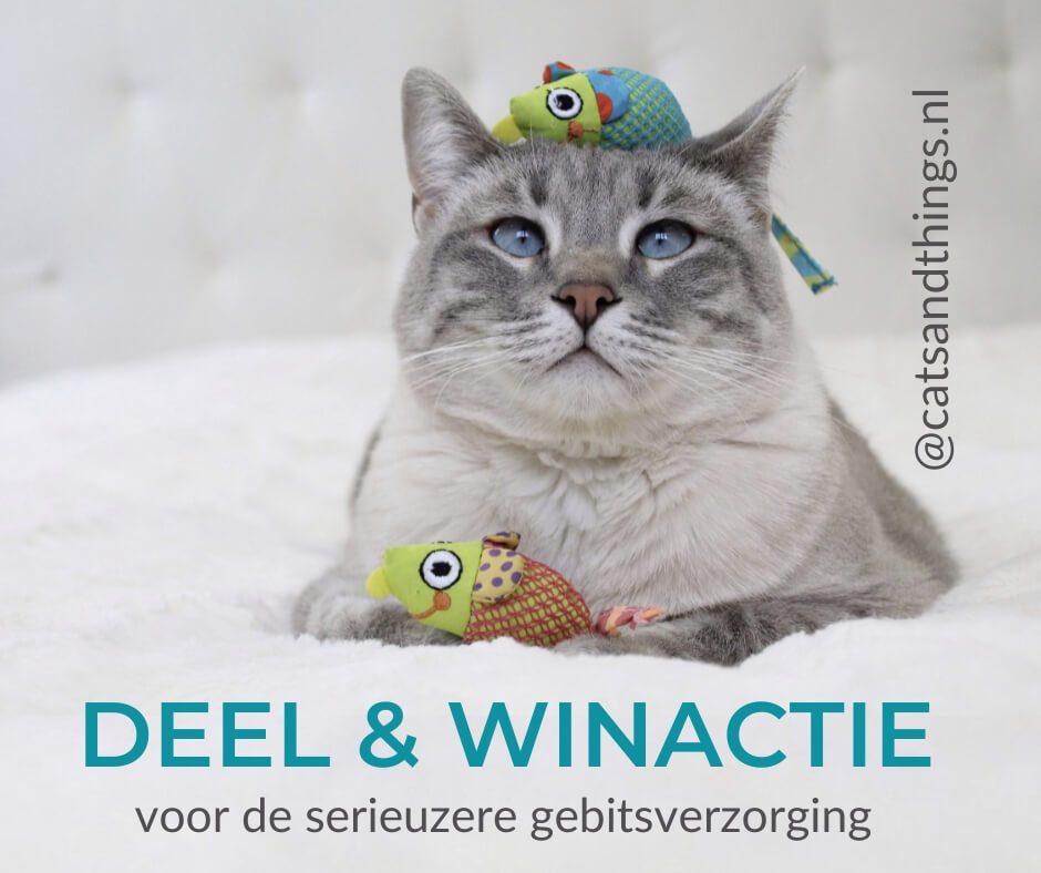 FACEBOOK deel & winactie serieus poetsen - petstages en Cats & Things