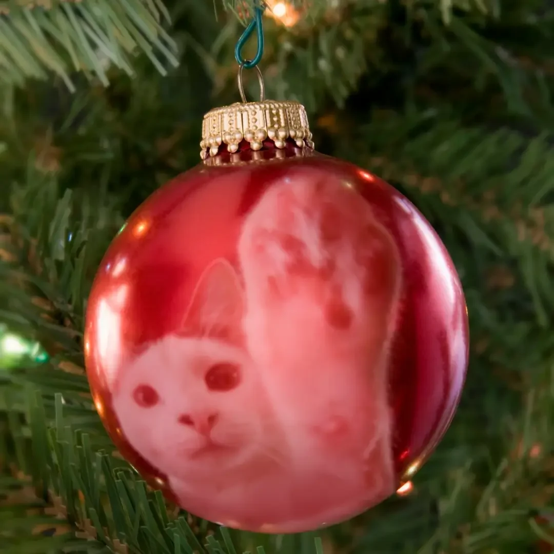 feestdagen met je en de kerstboom heel houden