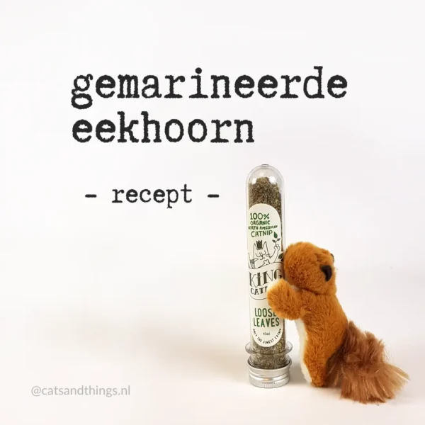 gemarineerde eekhoorn