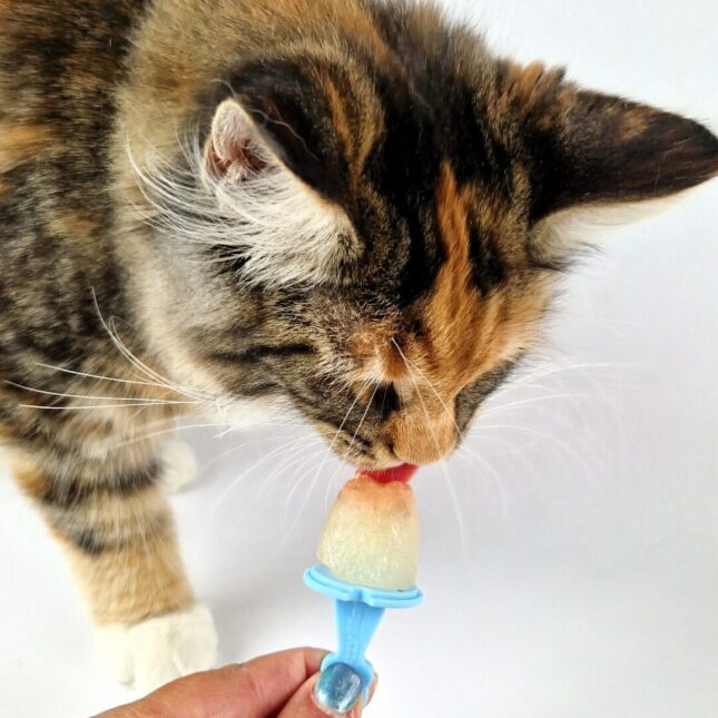 ijslollie-houder-VRE4 ijslollie-houder-VRE4