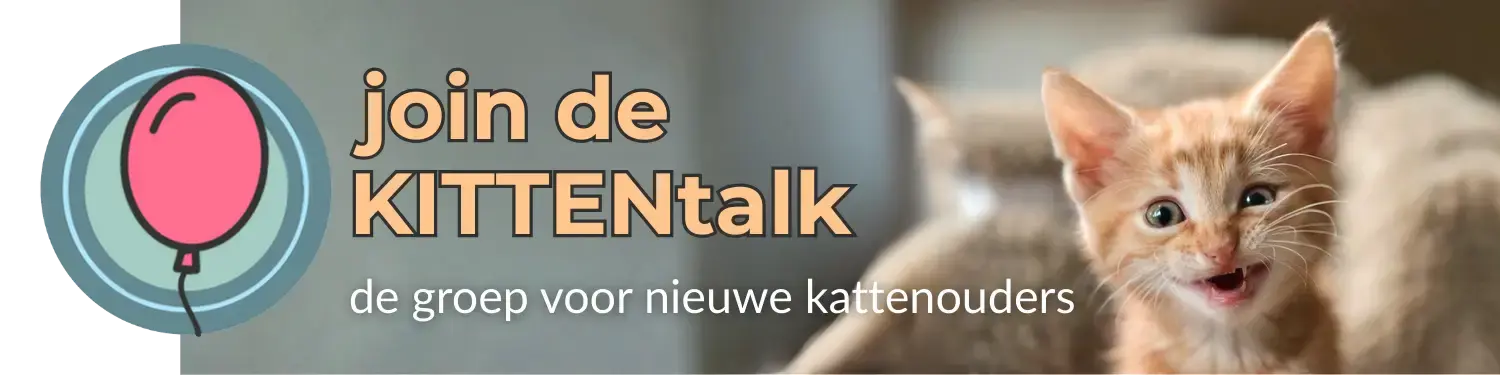 Kom bij de KITTENtalk als je vragen hebt over je nieuwe kat