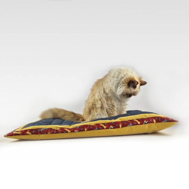 jumping-cats-balletjeskussen-Bridget jumping-cats-balletjeskussen-Bridget