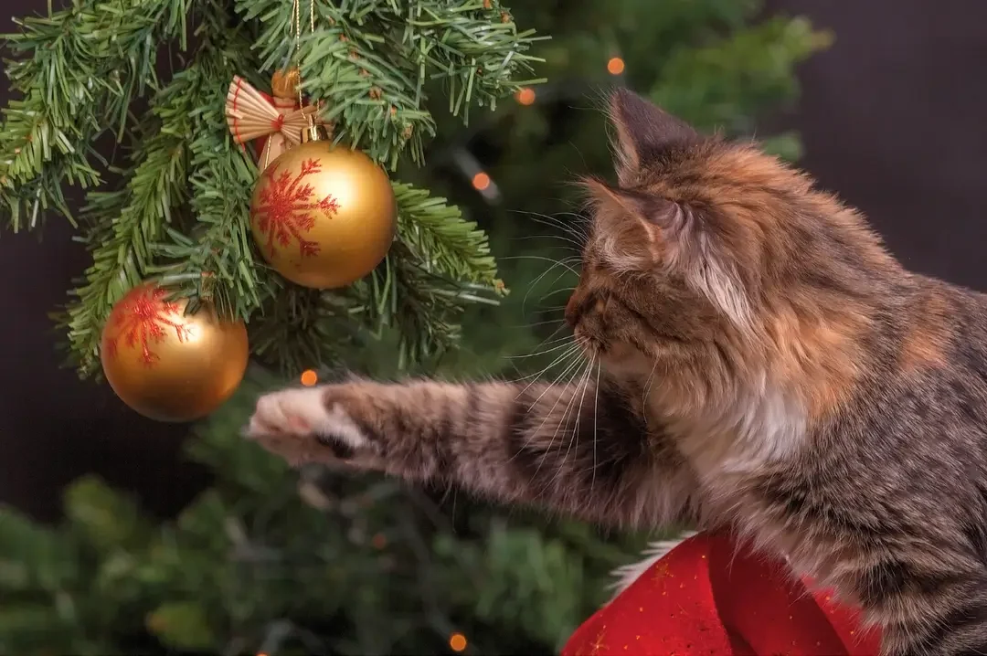 feestdagen met je kat hoe hou je de kat uit de kerstboom