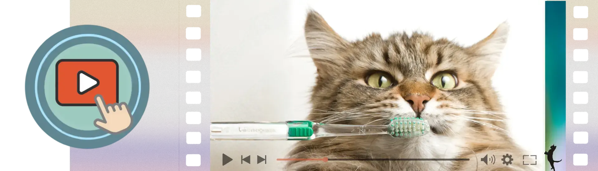 masterclass CHECK DIE BEK alles wat je wil weten over het kattengebit