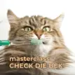 masterclass Check de Bek