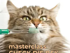 masterclass Check de Bek