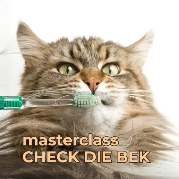 masterclass Check de Bek