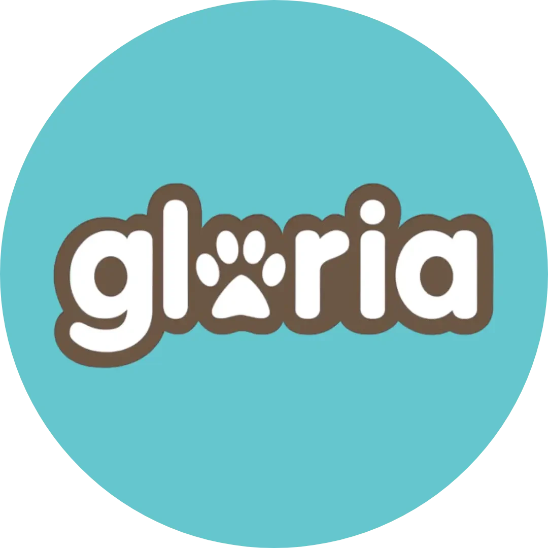 Gloria bontspeeltjes bij catsandthings.nl