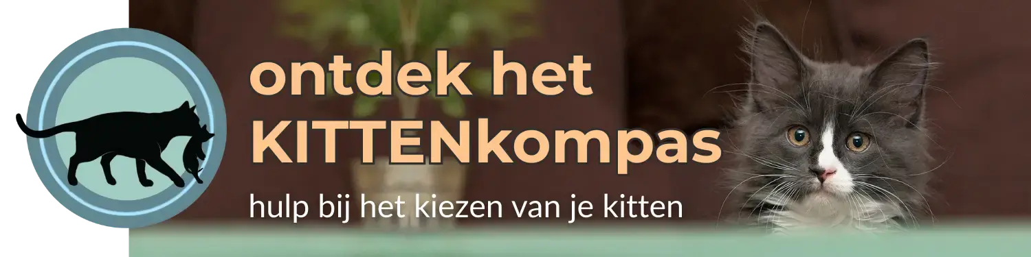 ontdek de voordelen van het KITTENkompas