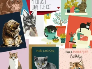10 kattenkaarten uit de Cats & Things collectie