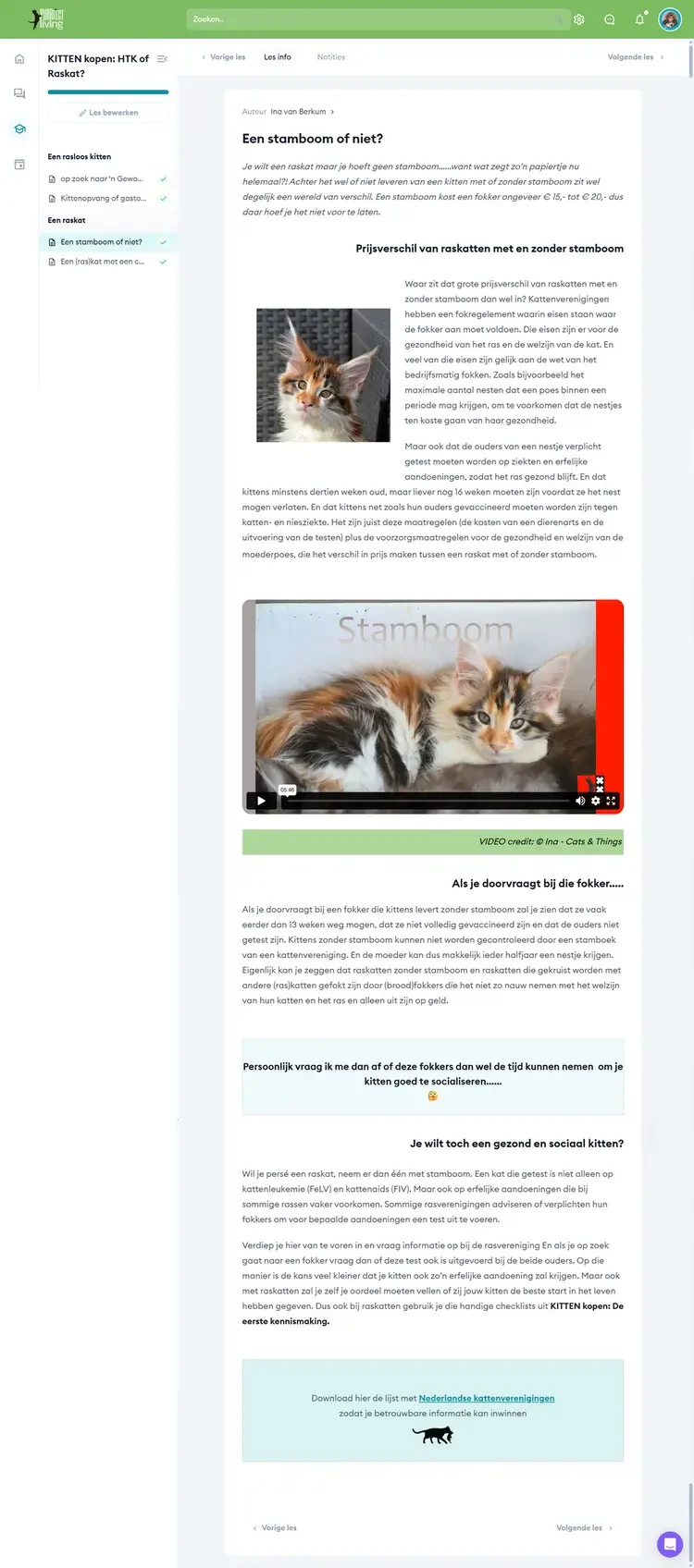 Een voorbeeld uit de training KITTEN kopen