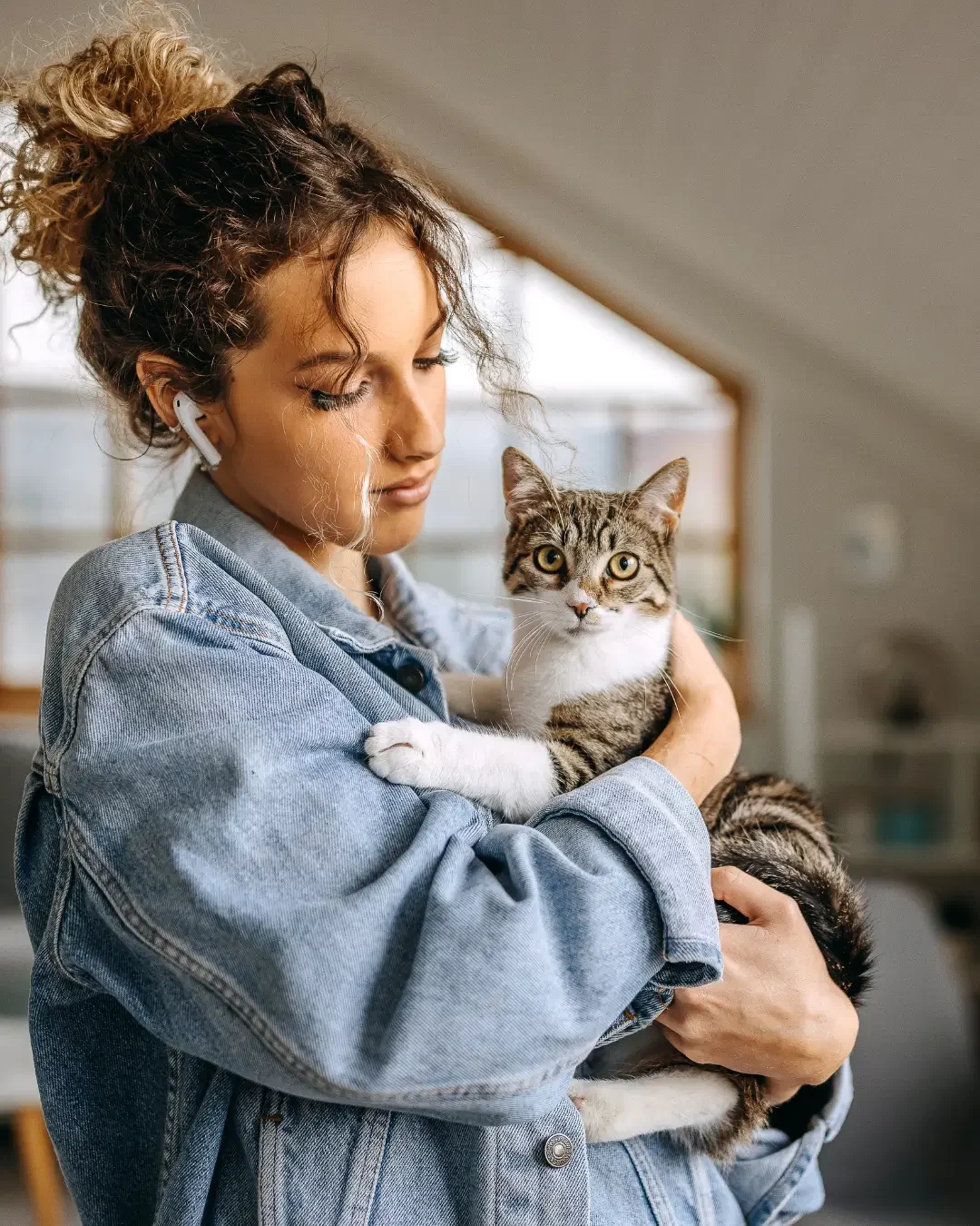 wat kost een KAT - veel liefde